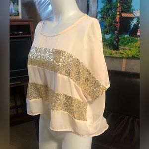 Sheer sequinned top by Ya.  Size large. Great condition.